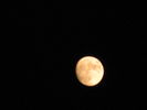 Moon-10.jpg
